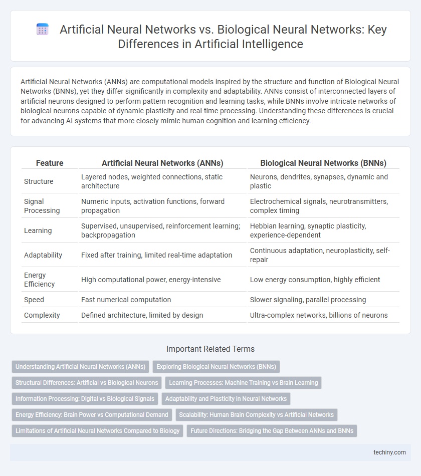 Artificial Neural Networks vs. Biological Neural Networks: Key Differences in Artificial Intelligence
