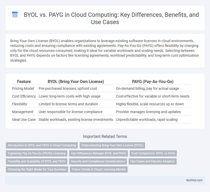 BYOL vs. PAYG in Cloud Computing: Key Differences, Benefits, and Use Cases