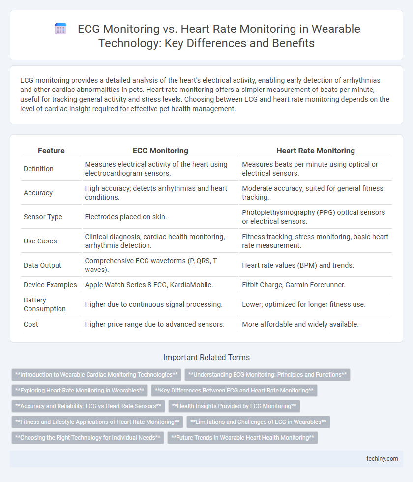 ECG Monitoring vs. Heart Rate Monitoring in Wearable Technology: Key Differences and Benefits