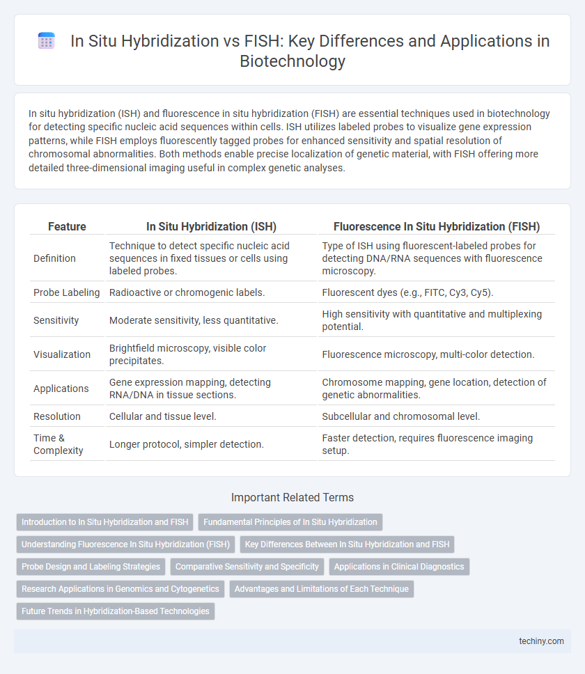 In Situ Hybridization vs FISH: Key Differences and Applications in Biotechnology
