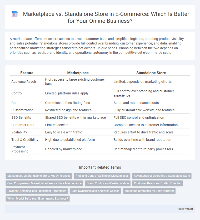 Marketplace vs. Standalone Store in E-Commerce: Which Is Better for Your Online Business?