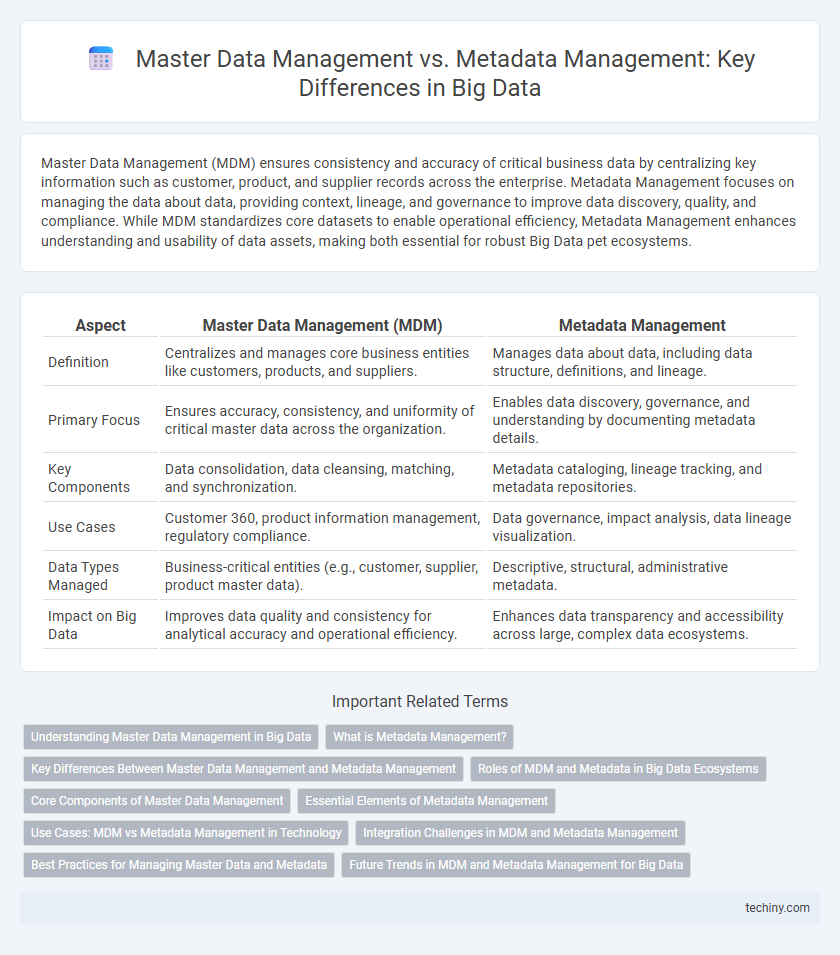 Master Data Management vs. Metadata Management: Key Differences in Big Data