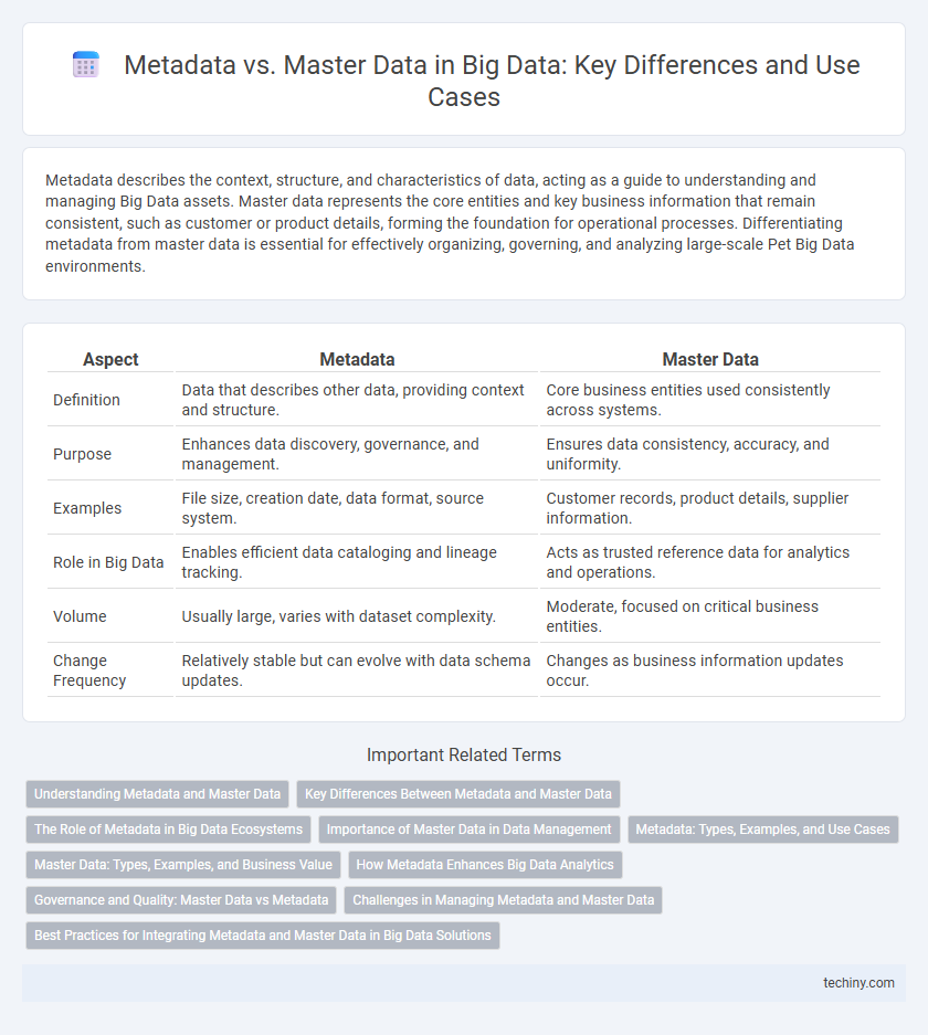 Metadata vs. Master Data in Big Data: Key Differences and Use Cases
