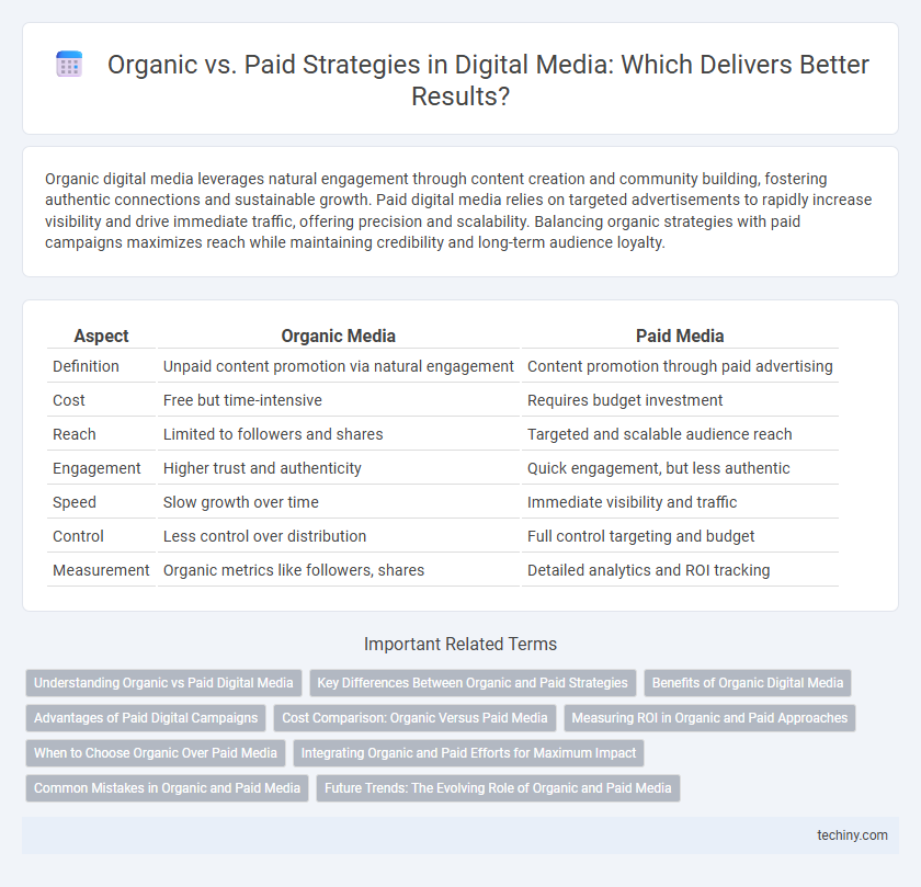 Organic vs. Paid Strategies in Digital Media: Which Delivers Better Results?