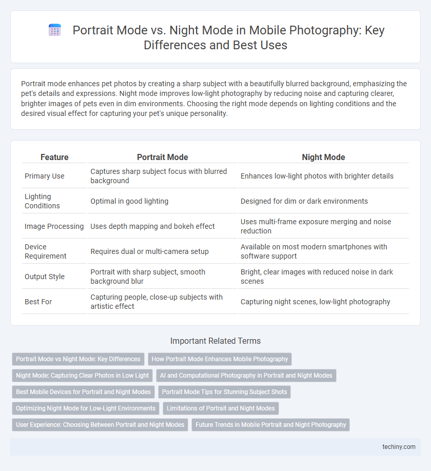 Portrait Mode vs. Night Mode in Mobile Photography: Key Differences and Best Uses