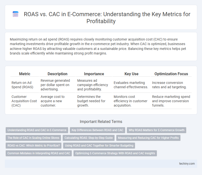 ROAS vs. CAC in E-Commerce: Understanding the Key Metrics for Profitability