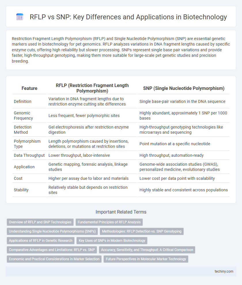 RFLP vs SNP: Key Differences and Applications in Biotechnology
