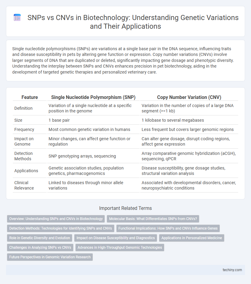 SNPs vs CNVs in Biotechnology: Understanding Genetic Variations and Their Applications