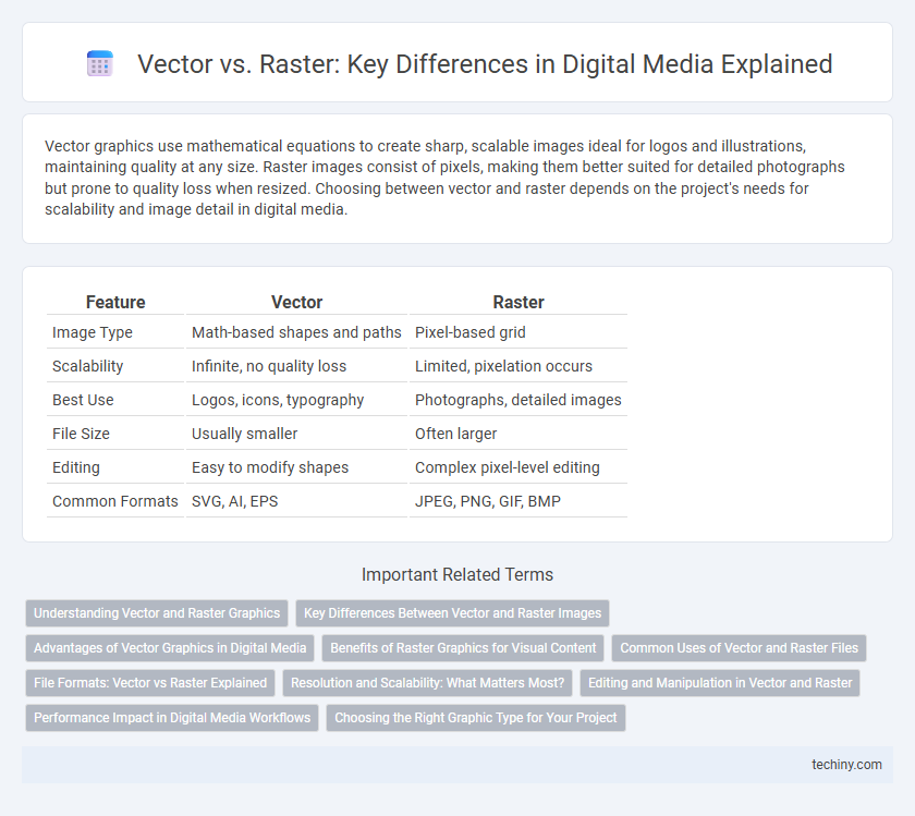 Vector vs. Raster: Key Differences in Digital Media Explained