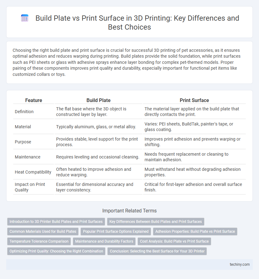 Build Plate vs Print Surface in 3D Printing: Key Differences and Best Choices