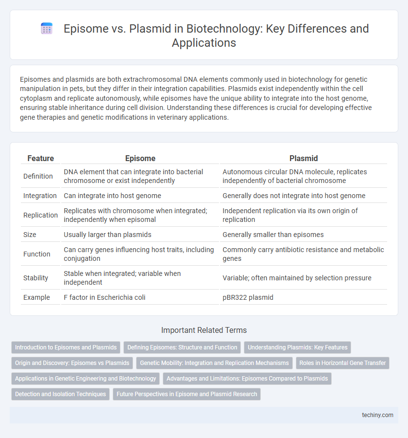 Episome vs. Plasmid in Biotechnology: Key Differences and Applications