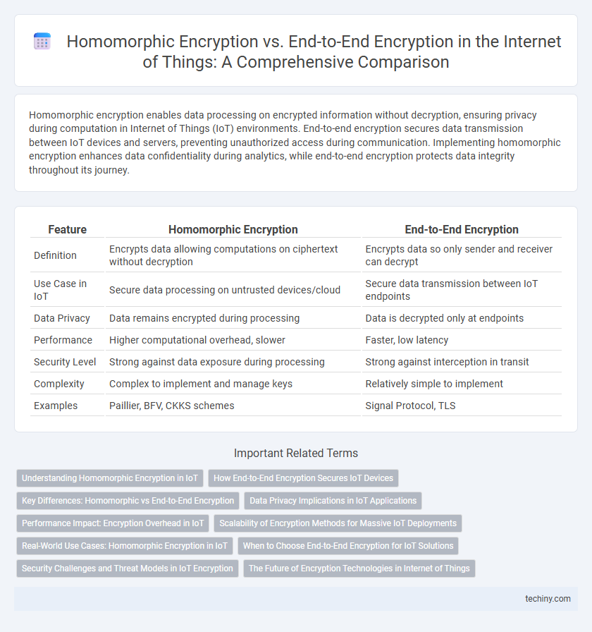 Homomorphic Encryption vs. End-to-End Encryption in the Internet of Things: A Comprehensive Comparison