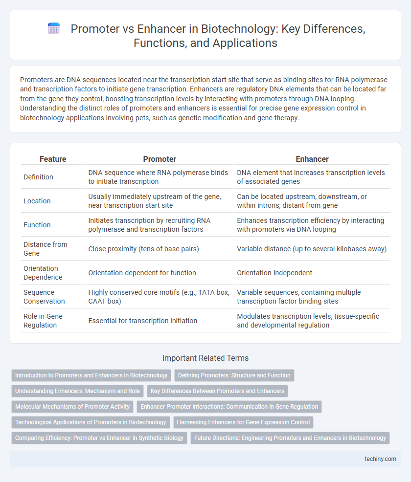 Promoter vs Enhancer in Biotechnology: Key Differences, Functions, and Applications