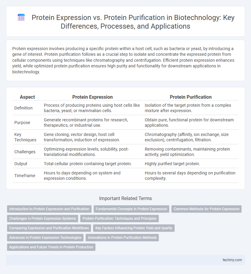 Protein Expression vs. Protein Purification in Biotechnology: Key Differences, Processes, and Applications
