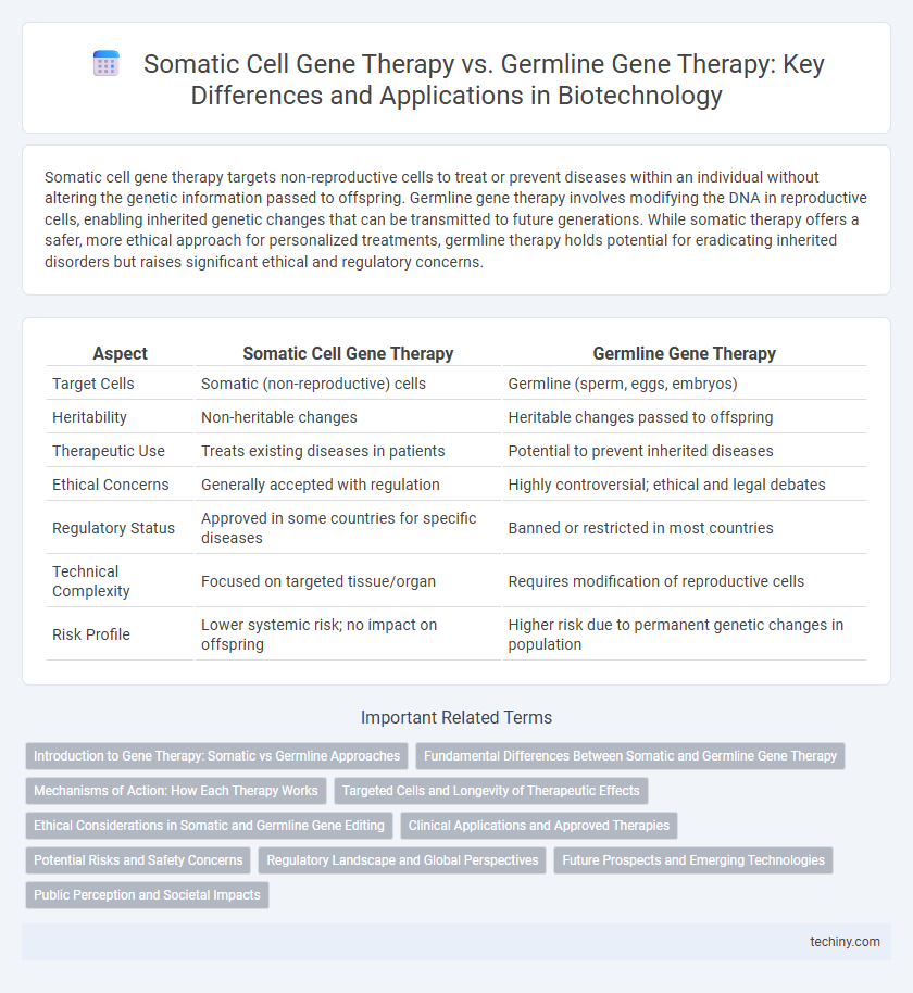Somatic Cell Gene Therapy vs. Germline Gene Therapy: Key Differences and Applications in Biotechnology