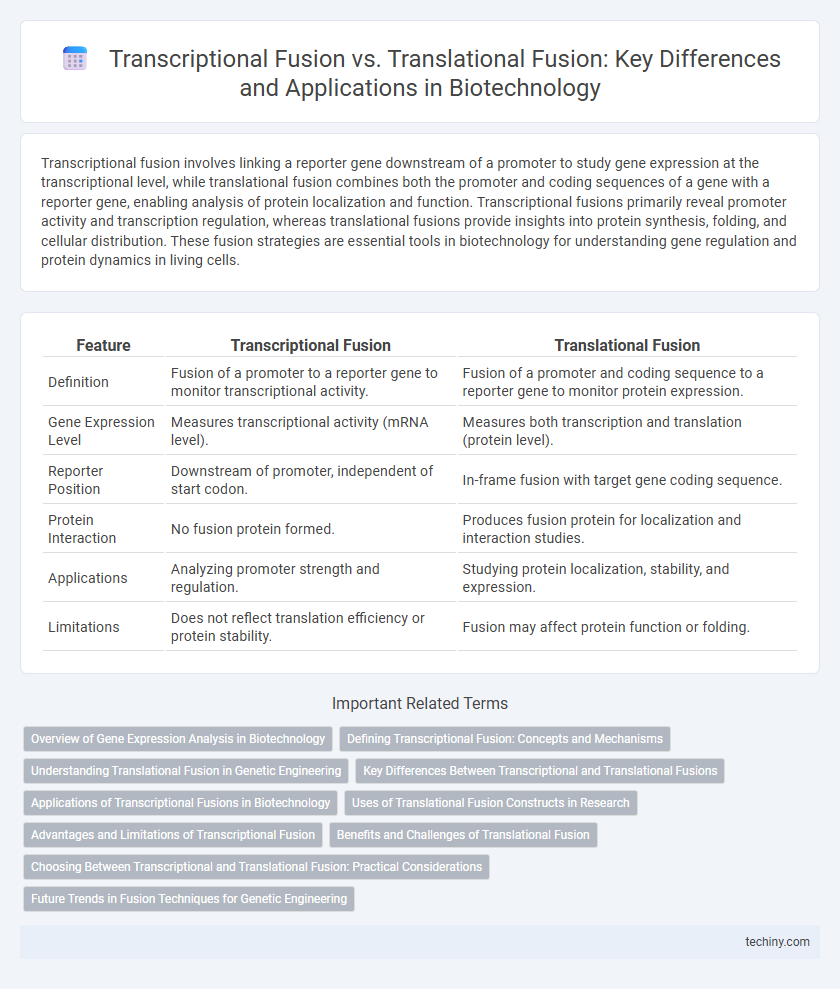 Transcriptional Fusion vs. Translational Fusion: Key Differences and Applications in Biotechnology