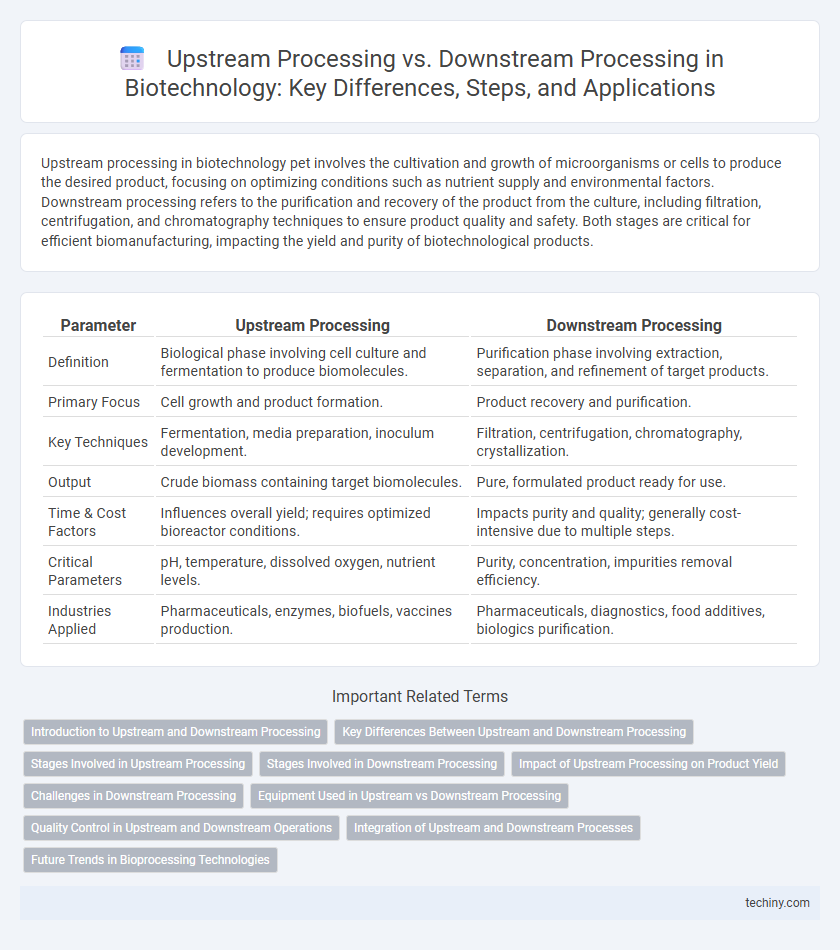 Upstream Processing vs. Downstream Processing in Biotechnology: Key Differences, Steps, and Applications