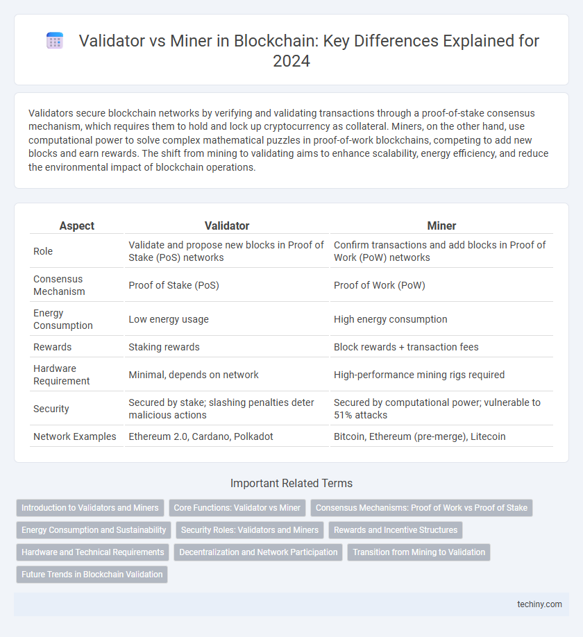 Validator vs Miner in Blockchain: Key Differences Explained for 2024