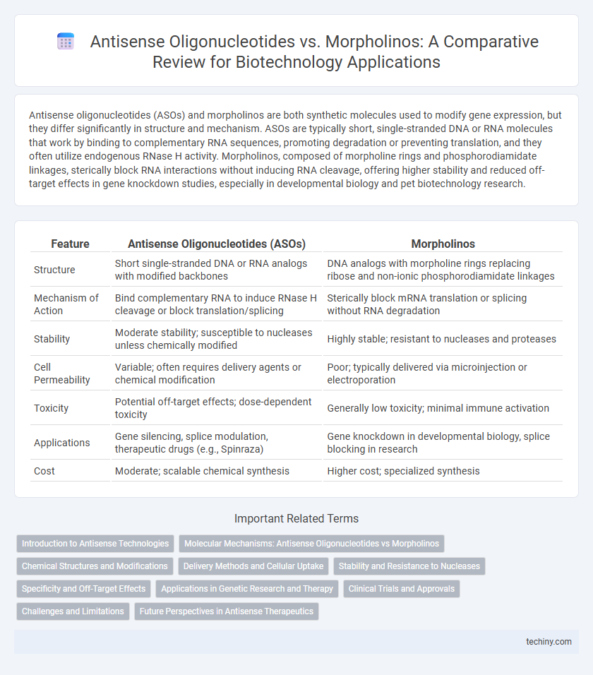 Antisense Oligonucleotides vs. Morpholinos: A Comparative Review for Biotechnology Applications