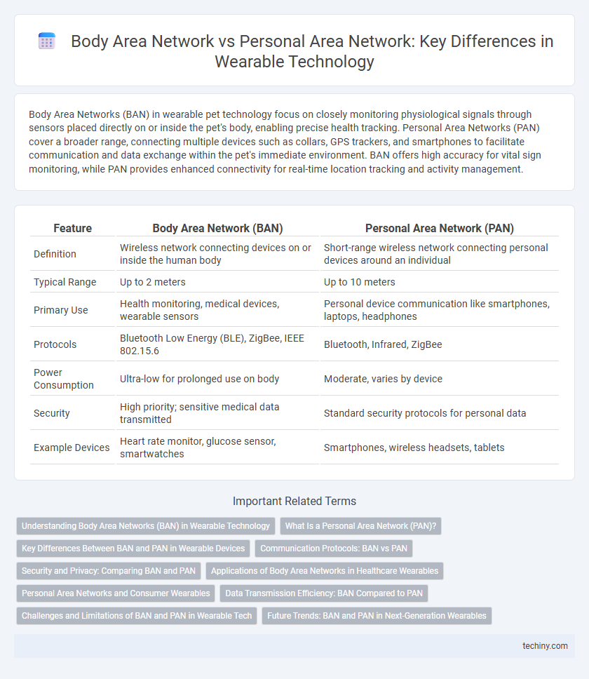 Body Area Network vs Personal Area Network: Key Differences in Wearable Technology