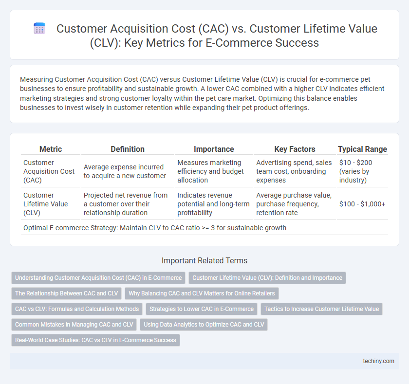 Customer Acquisition Cost (CAC) vs. Customer Lifetime Value (CLV): Key Metrics for E-Commerce Success