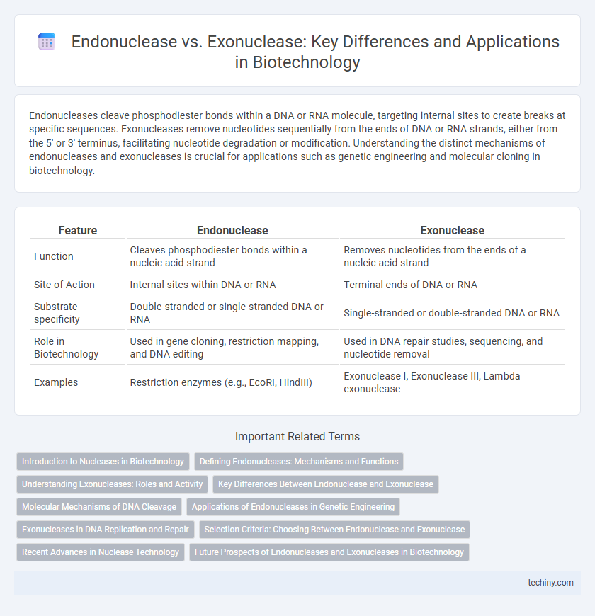 Endonuclease vs. Exonuclease: Key Differences and Applications in Biotechnology