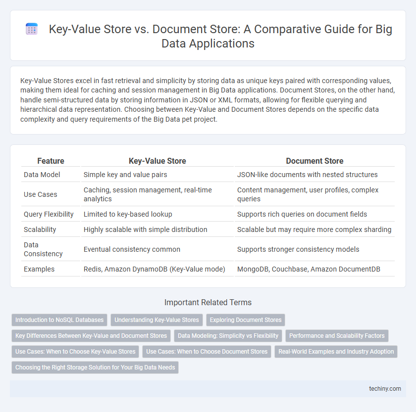 Key-Value Store vs. Document Store: A Comparative Guide for Big Data Applications