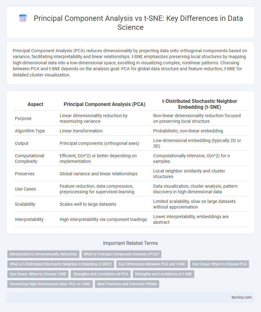 Principal Component Analysis vs t-SNE: Key Differences in Data Science