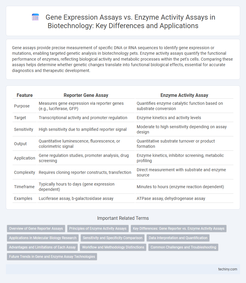 Gene Expression Assays vs. Enzyme Activity Assays in Biotechnology: Key Differences and Applications