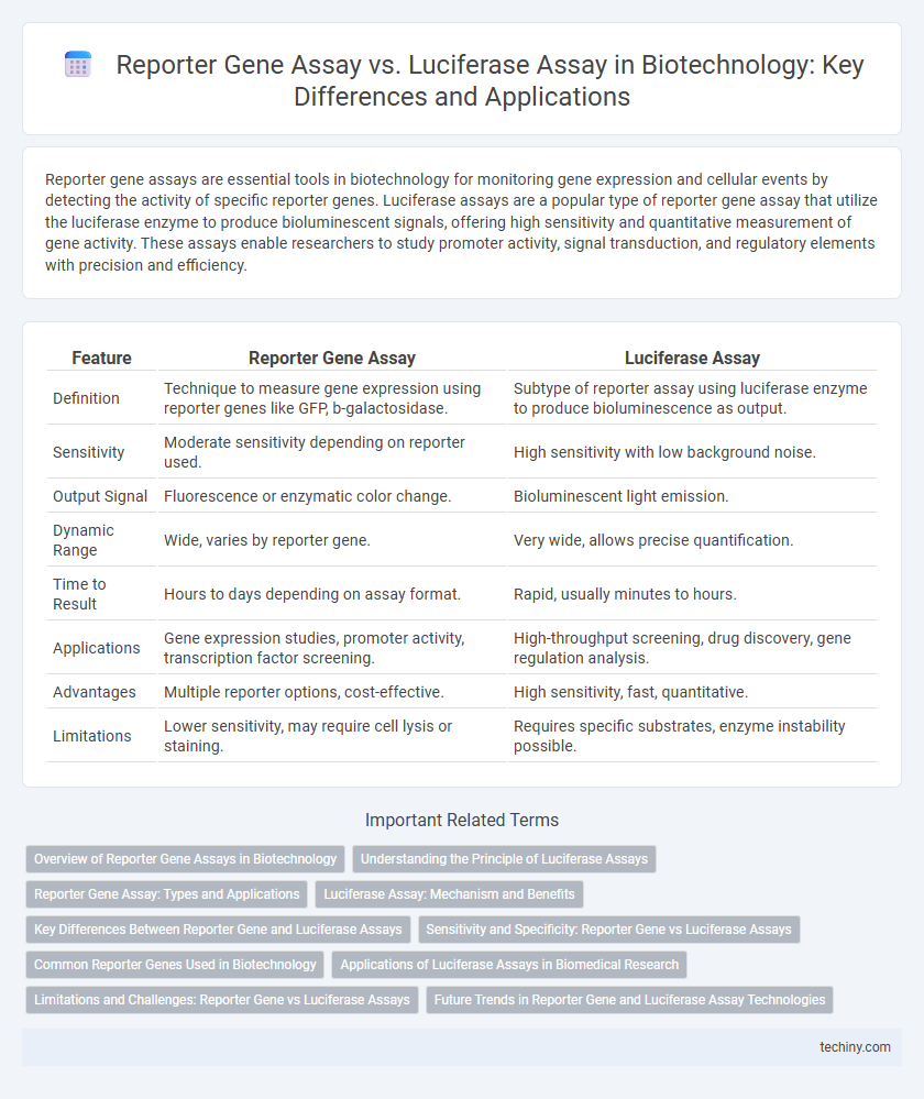 Reporter Gene Assay vs. Luciferase Assay in Biotechnology: Key Differences and Applications