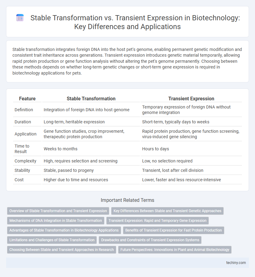 Stable Transformation vs. Transient Expression in Biotechnology: Key Differences and Applications