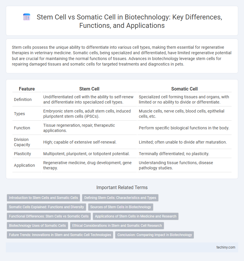Stem Cell vs Somatic Cell in Biotechnology: Key Differences, Functions, and Applications