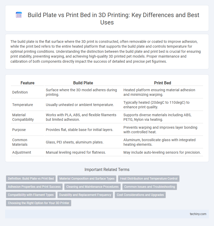Build Plate vs Print Bed in 3D Printing: Key Differences and Best Uses
