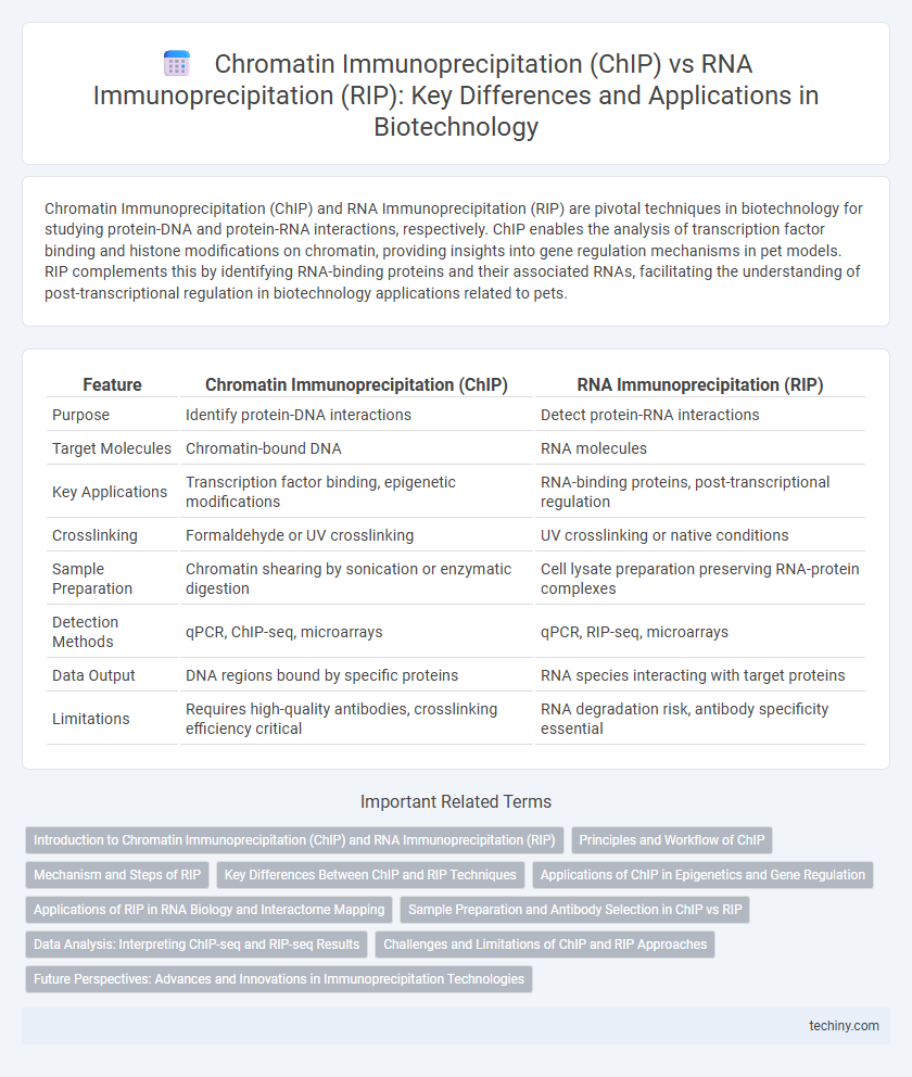 Chromatin Immunoprecipitation (ChIP) vs RNA Immunoprecipitation (RIP): Key Differences and Applications in Biotechnology