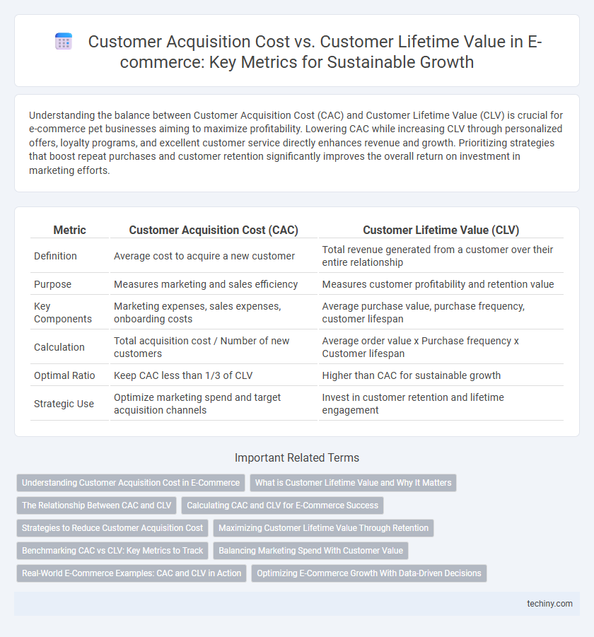 Customer Acquisition Cost vs. Customer Lifetime Value in E-commerce: Key Metrics for Sustainable Growth