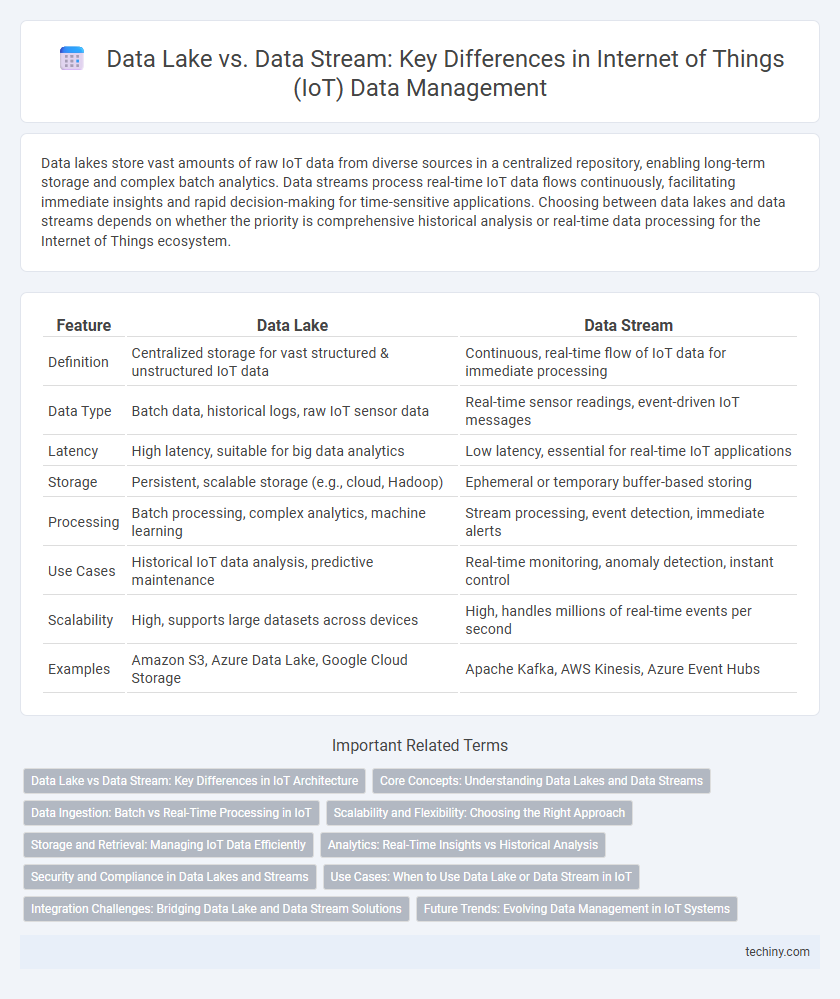 Data Lake vs. Data Stream: Key Differences in Internet of Things (IoT) Data Management