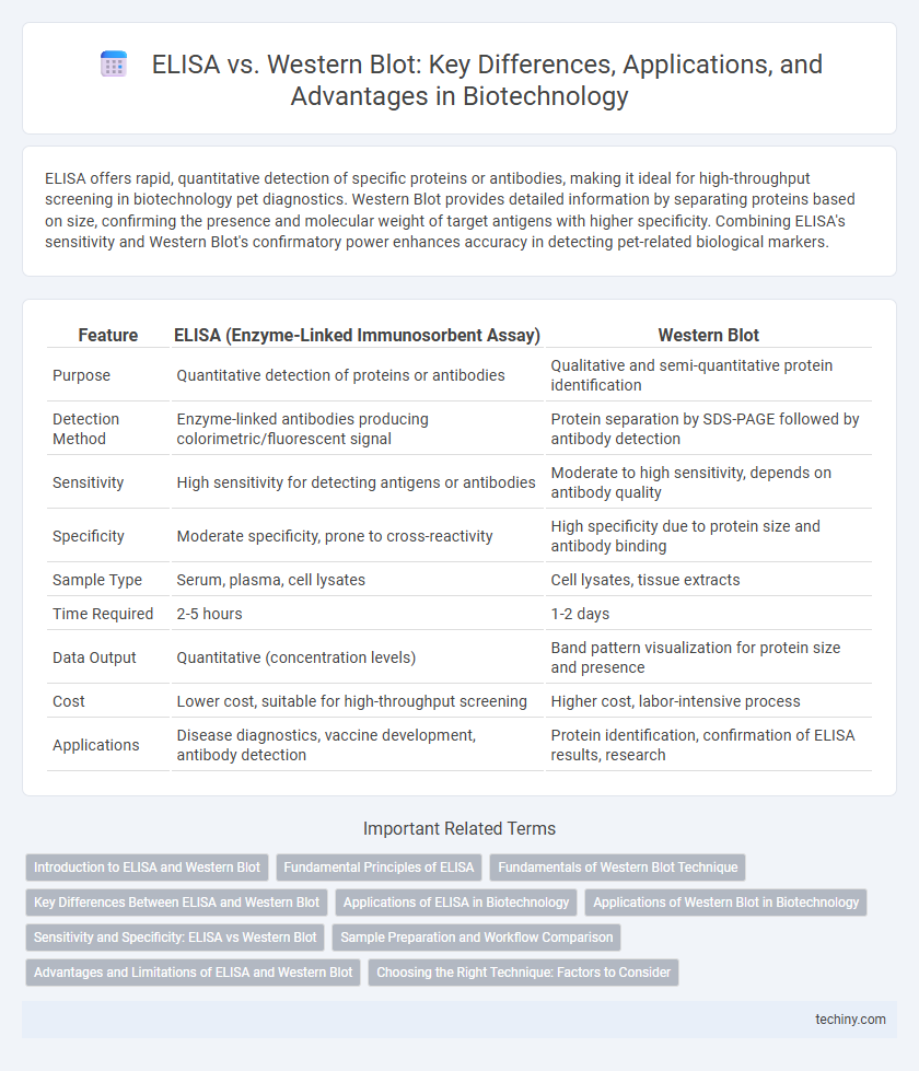 ELISA vs. Western Blot: Key Differences, Applications, and Advantages in Biotechnology