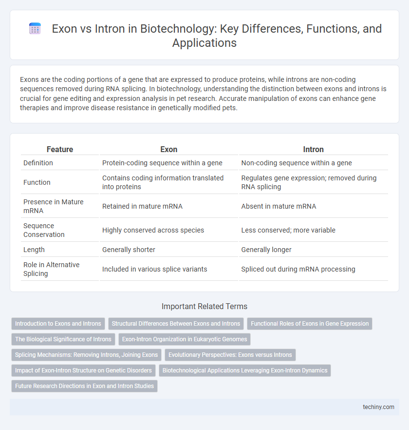 Exon vs Intron in Biotechnology: Key Differences, Functions, and Applications