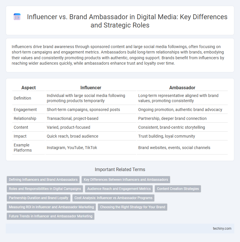 Influencer vs. Brand Ambassador in Digital Media: Key Differences and Strategic Roles