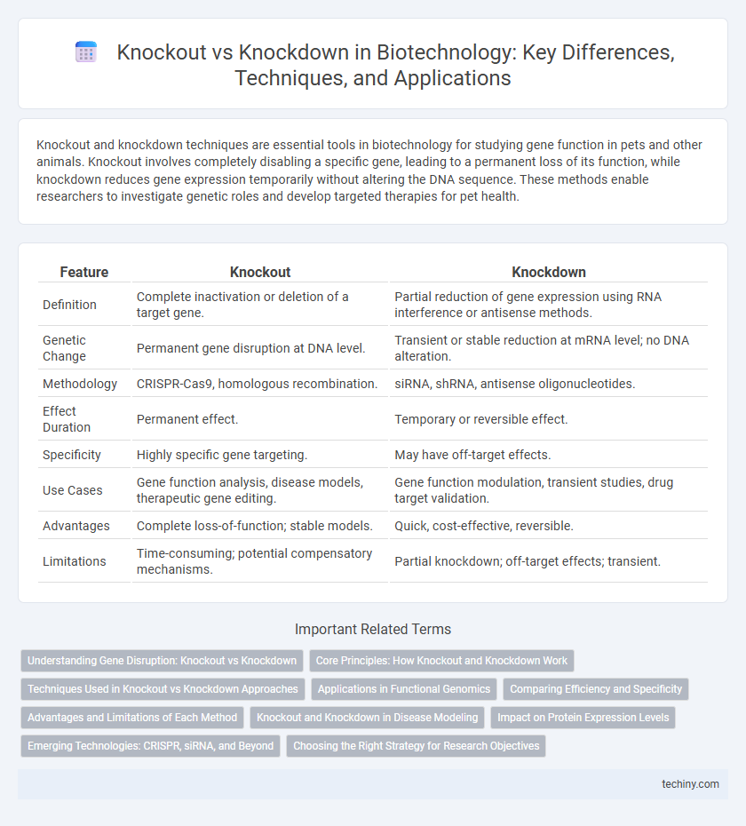 Knockout vs Knockdown in Biotechnology: Key Differences, Techniques, and Applications