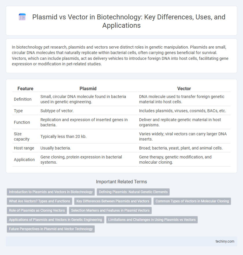 Plasmid vs Vector in Biotechnology: Key Differences, Uses, and Applications