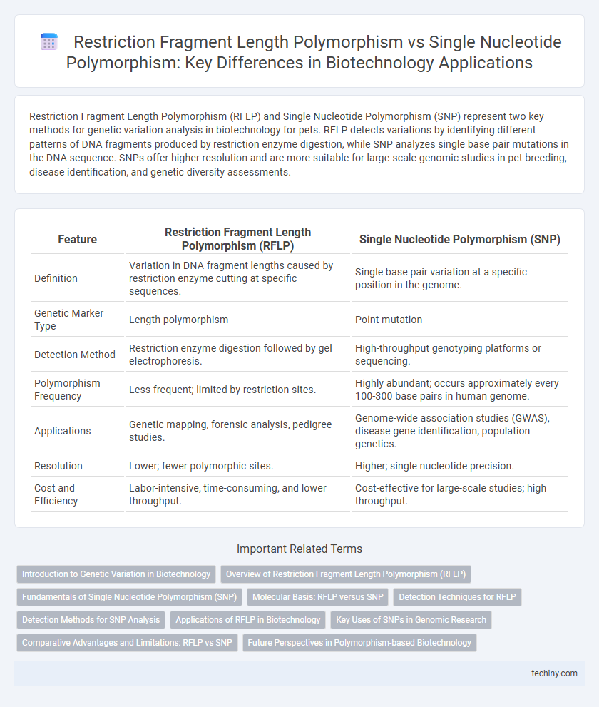 Restriction Fragment Length Polymorphism vs Single Nucleotide Polymorphism: Key Differences in Biotechnology Applications