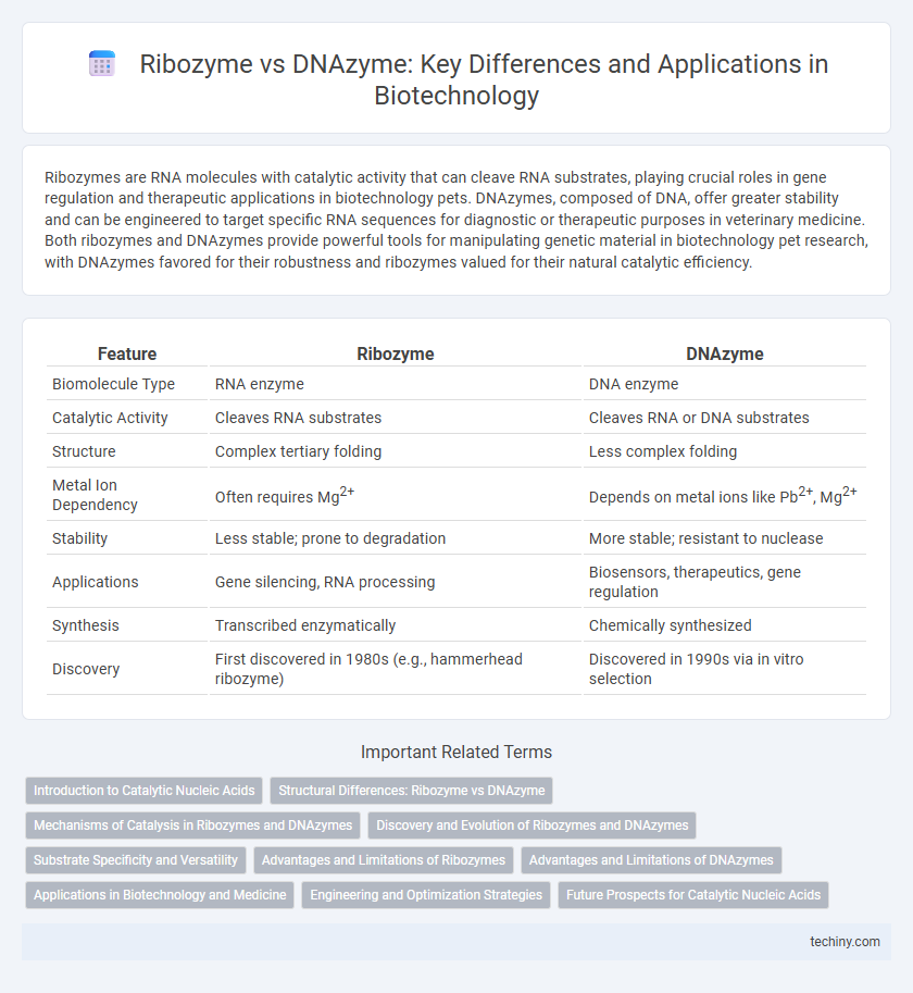 Ribozyme vs DNAzyme: Key Differences and Applications in Biotechnology