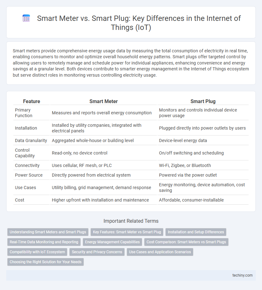 Smart Meter vs. Smart Plug: Key Differences in the Internet of Things (IoT)
