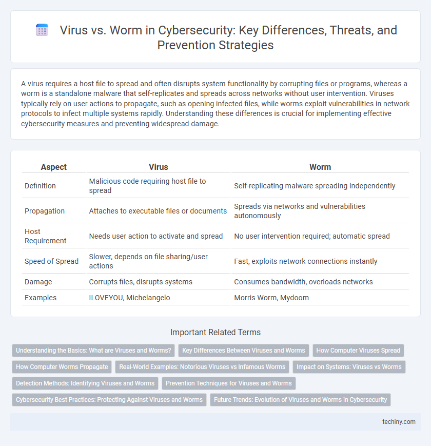 Virus vs. Worm in Cybersecurity: Key Differences, Threats, and Prevention Strategies