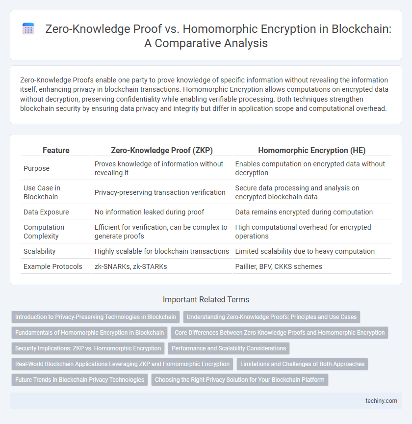 Zero-Knowledge Proof vs. Homomorphic Encryption in Blockchain: A Comparative Analysis