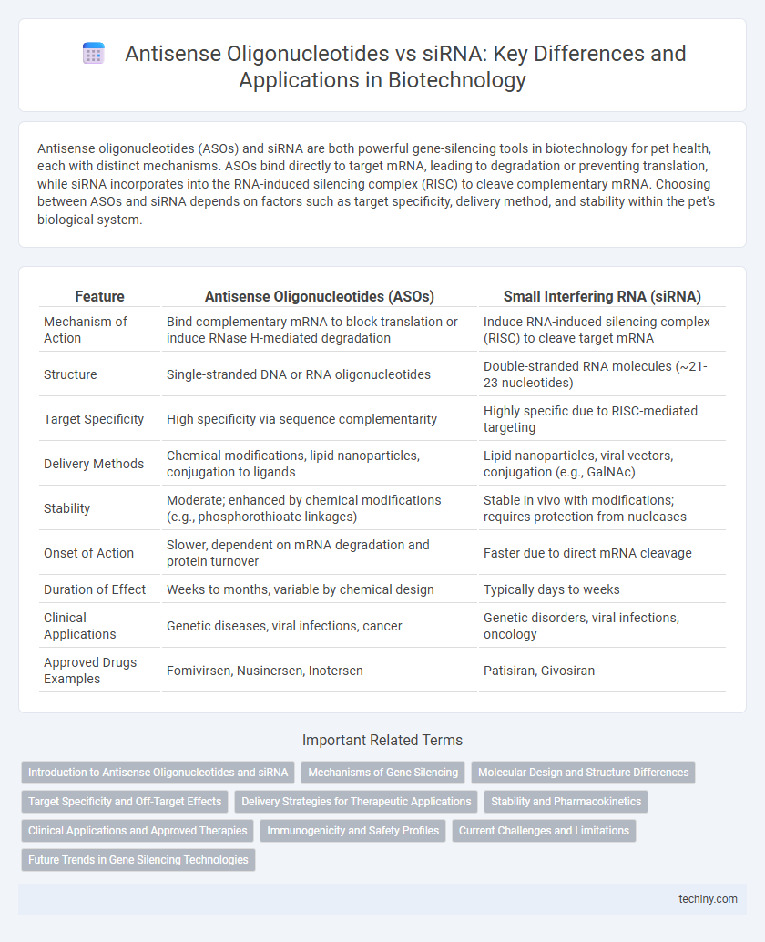 Antisense Oligonucleotides vs siRNA: Key Differences and Applications in Biotechnology