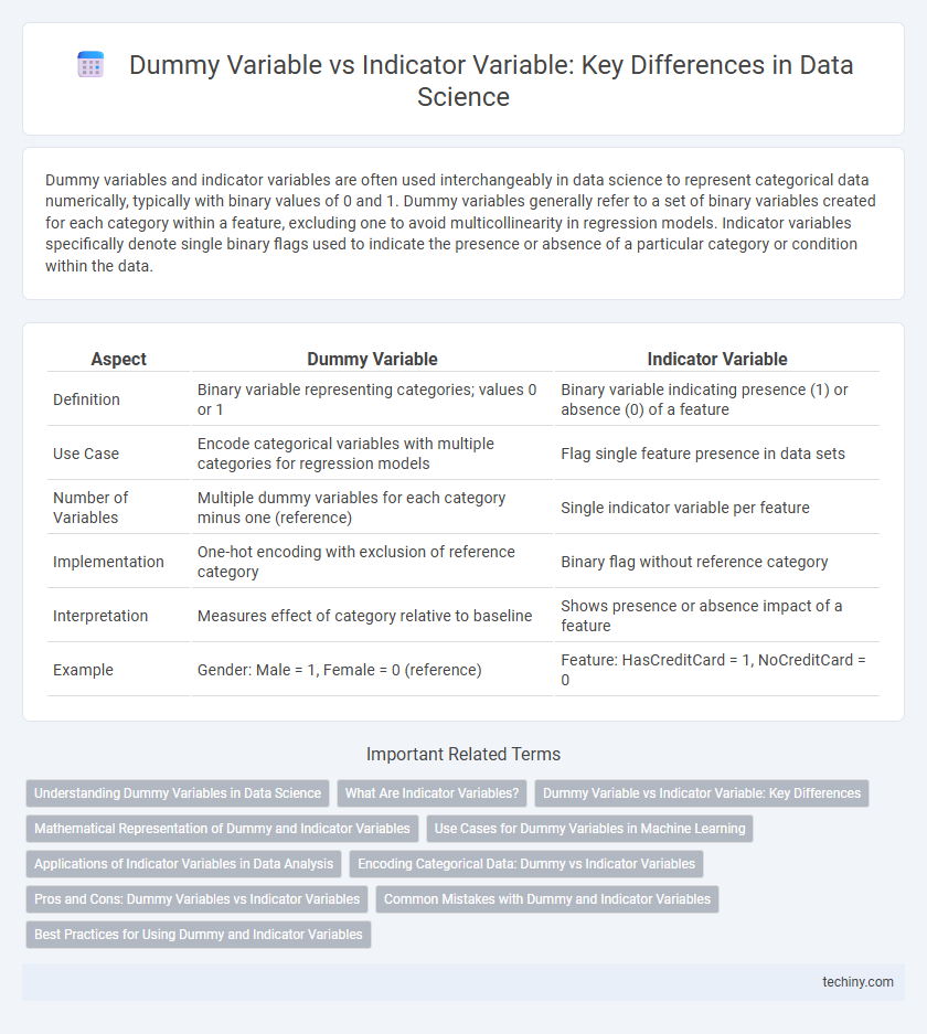 Dummy Variable vs Indicator Variable: Key Differences in Data Science