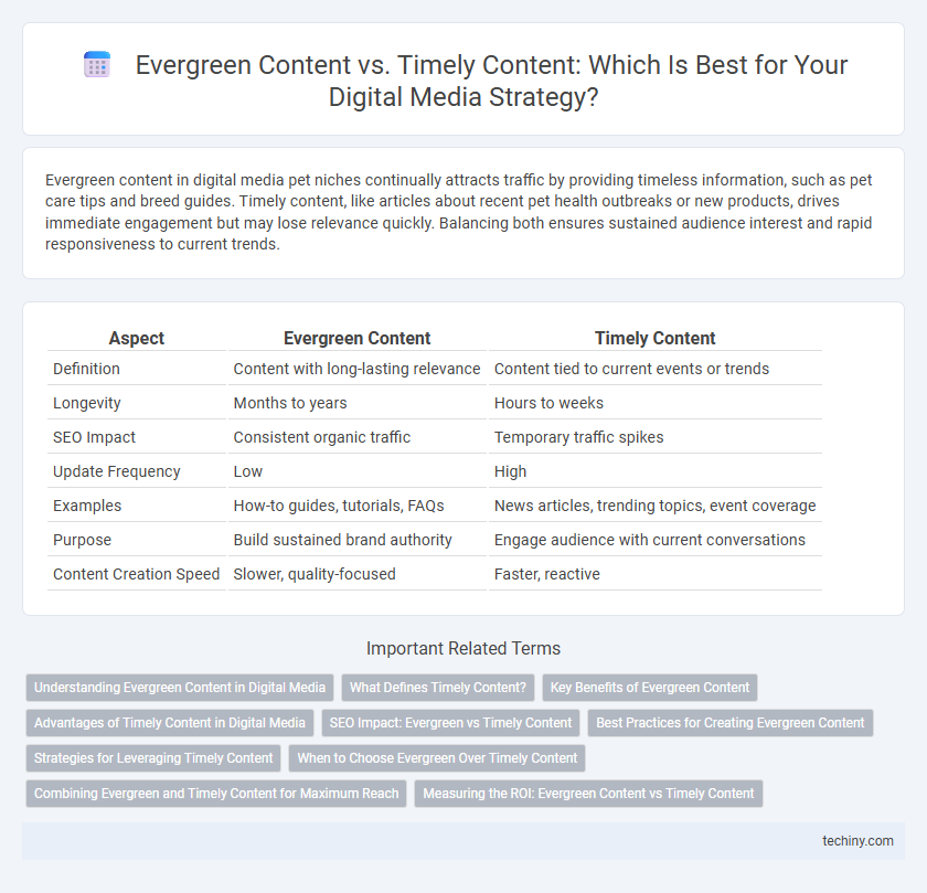 Evergreen Content vs. Timely Content: Which Is Best for Your Digital Media Strategy?