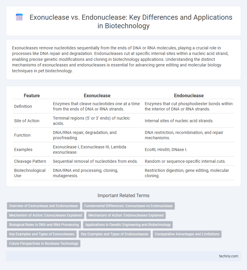 Exonuclease vs. Endonuclease: Key Differences and Applications in Biotechnology